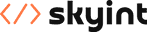 Skyint Company Logo